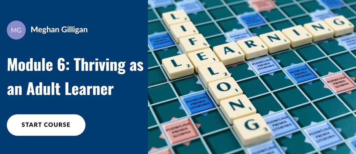 Thriving as an Adult Learner Articulate 360 eLearning module preview